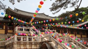 Two early birds’ trip to Gyeongju (1) Two early birds’ trip to Gyeongju (1)