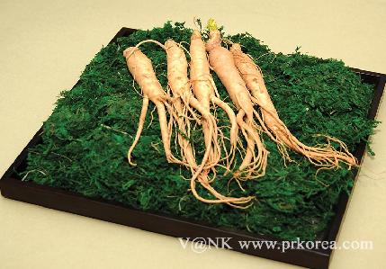 한국음식 6번(인삼)